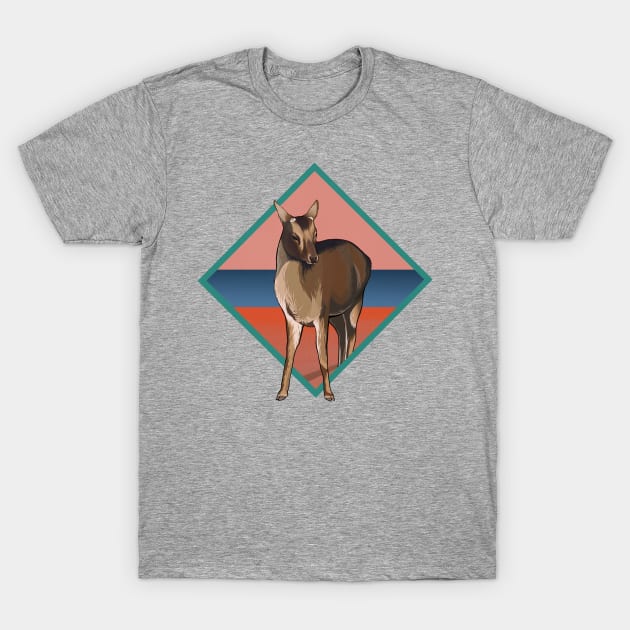 Deer island t shirt online